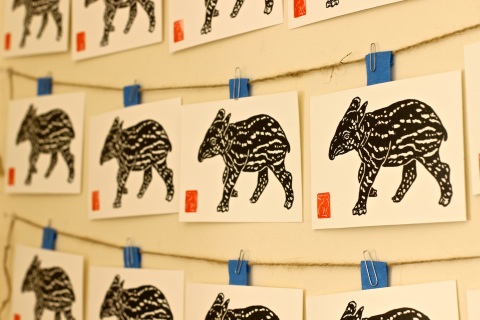 Tapir prints hanging to dry on the wall.